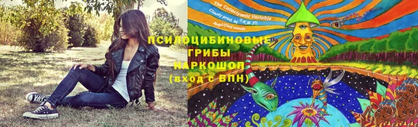 спиды Алексеевка