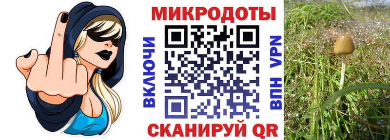 Псилоцибиновые грибы ЛСД  как найти   Рошаль 